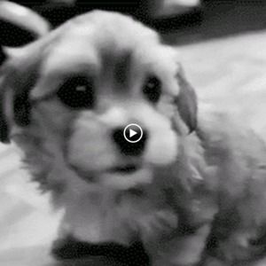 Meet your Posher, Stacyj